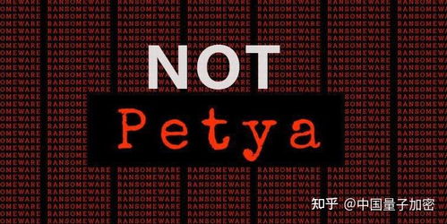 大力发展信息安全技术，积极应对网络攻击