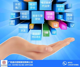 画册设计报价与网络信息安全软件开发——凌志营销策划为您提供专业服务